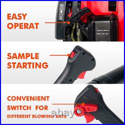 Backpack Gas Leaf Blower 76CC 660CFM 200MPH 4 Stroke, Snow Blower EPA Compliant Backpack Gas Leaf Blower 76CC 660CFM 200MPH 4 Stroke, Snow Blower EPA Compliant