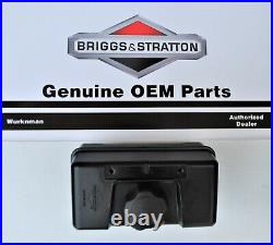 Genuine OEM Briggs & Stratton 691993 Fuel / Gas Tank