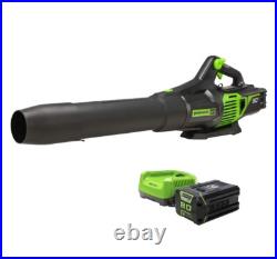 Greenworks Pro Ultra Power Snow Blower & Jet Blower 2 4 AH Batteries Greenworks Pro Ultra Power Snow Blower & Jet Blower 2 4 AH Batteries